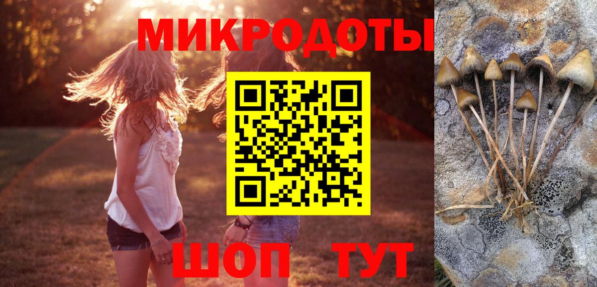 Галлюциногенные грибы мухоморы  Вход с VPN  Омск  Галлюциногенные грибы Magic Shrooms 